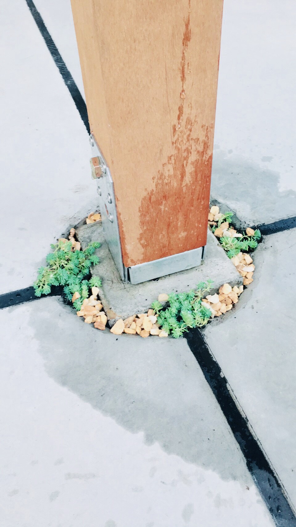 A image of 本町1丁目 プロジェクト