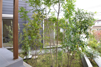 A image of 葉山町長柄プロジェクト