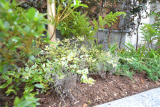 A image of 梶原2丁目プロジェクト