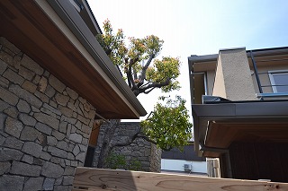 A image of 鵠沼松が岡2丁目プロジェクトⅢ