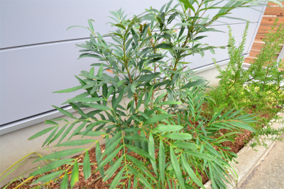A image of 藤沢1丁目プロジェクト