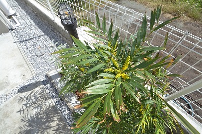 A image of 白旗3丁目プロジェクト